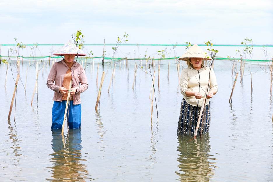 Women actively and proactively participating in community mangrove planting activities.